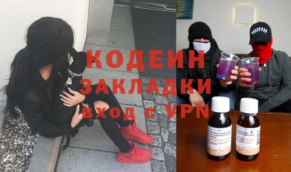 крисы Новодвинск