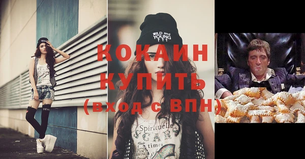 ПСИЛОЦИБИНОВЫЕ ГРИБЫ Няндома