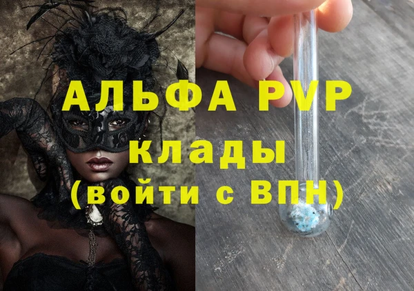 ПСИЛОЦИБИНОВЫЕ ГРИБЫ Няндома